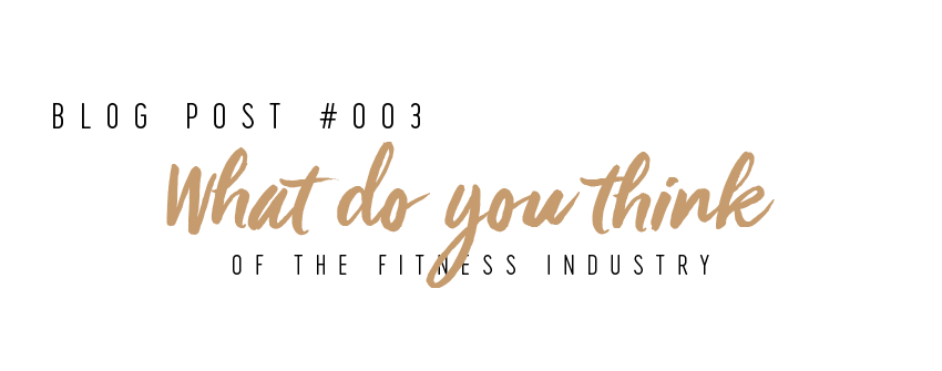 What do you think of the fitness industry?