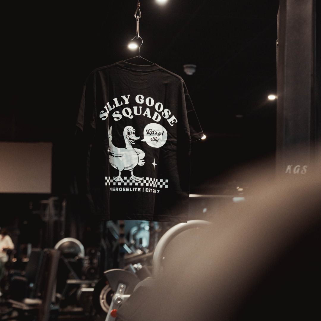 SILLY GOOSE SQUAD V2